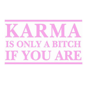 NWT Karma is Only A B*tch If You are Funny NOK Decal Vinyl Sticker Car Truck